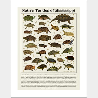 Native Turtles of Mississippi Poster Posters and Art